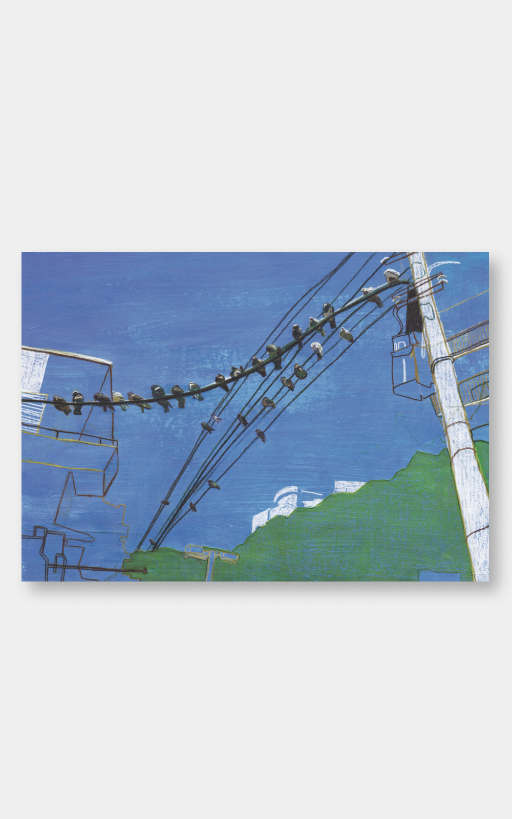 הדפס לתלייה על הקיר | Birds | פיטר ווד