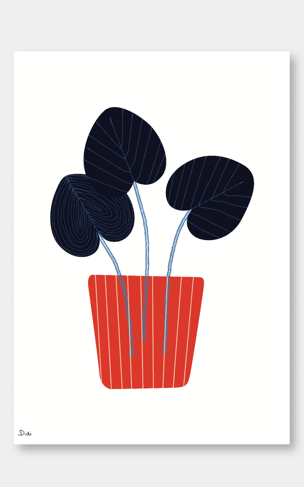 הדפס לתלייה על הקיר | Plants | דידי כפיר