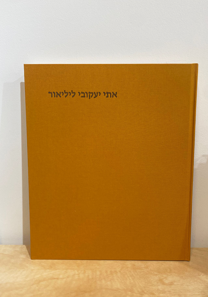 ספר אמן | אתי יעקובי ליליאור