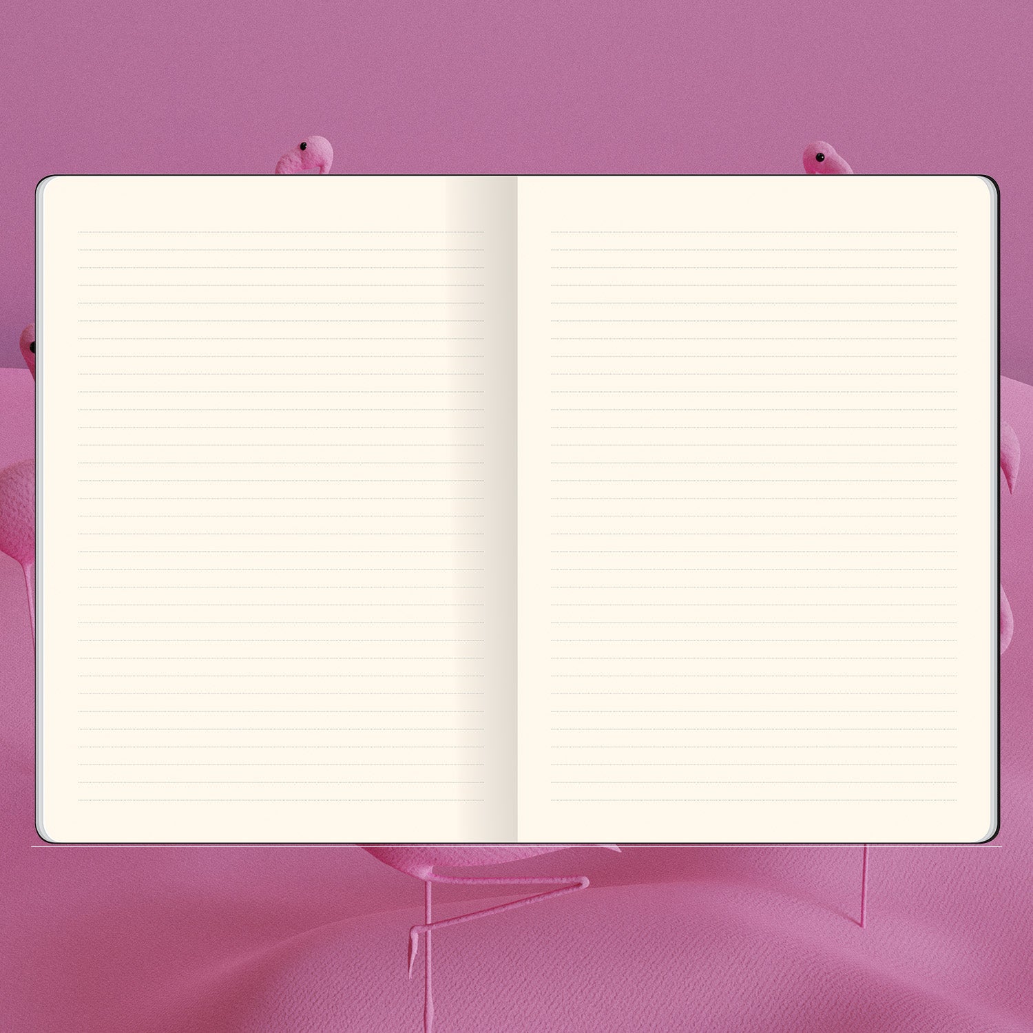 מחברת שורה SMARTBOOK | גודל ייחודי 17X24