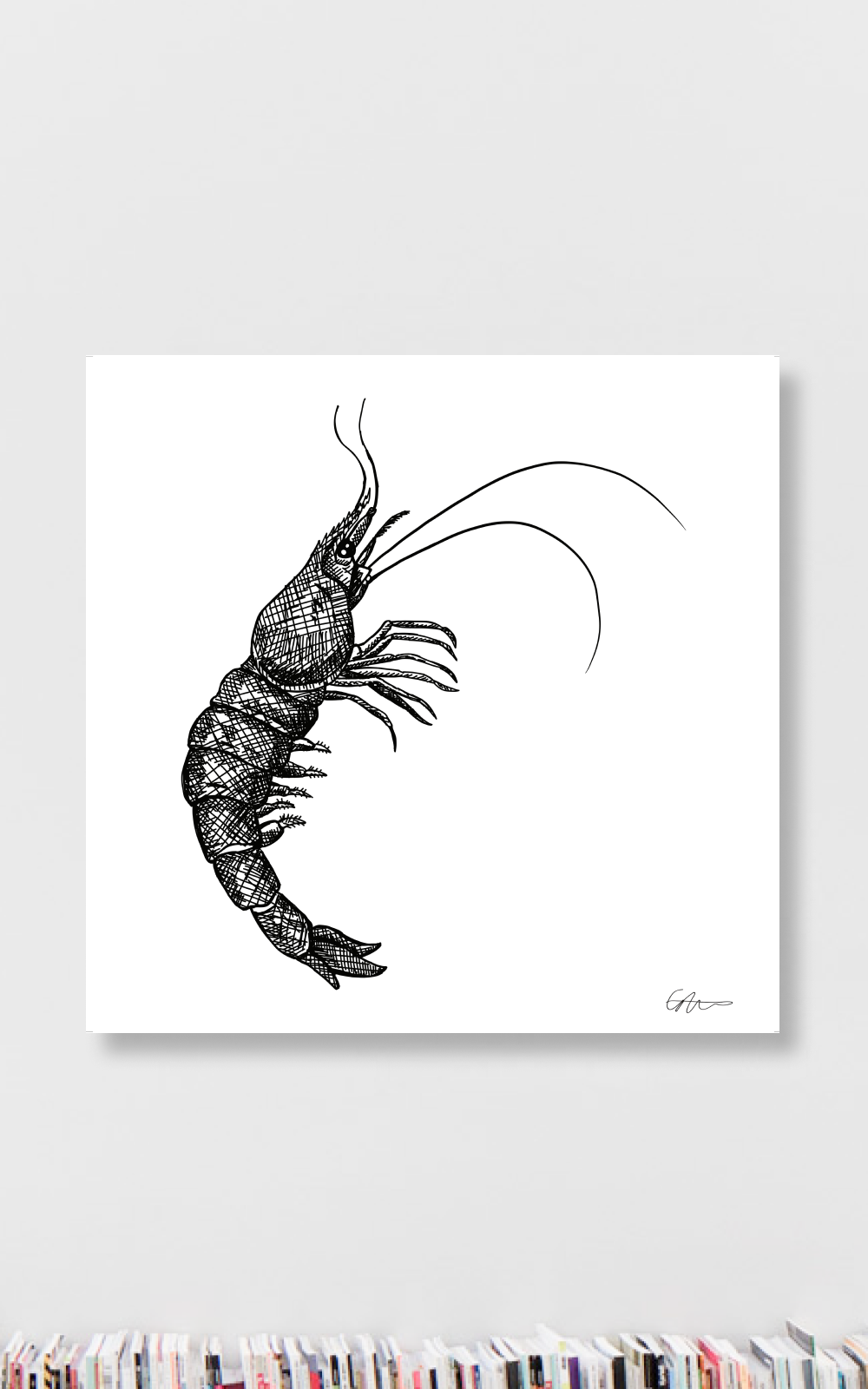 Prawn | Braceface | הדפס לתלייה על הקיר