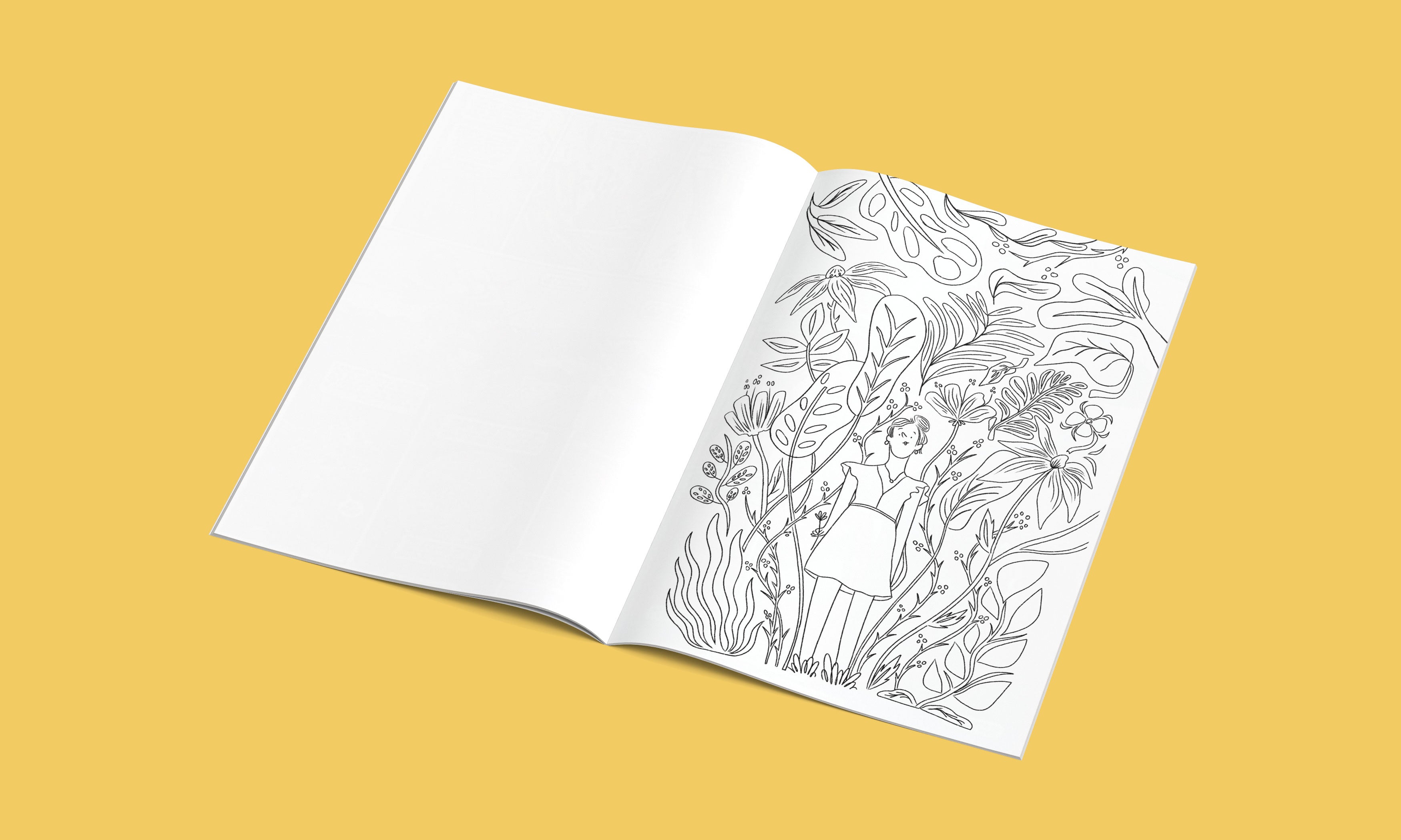 חוברת צביעה - מאיירת טליה דריגס