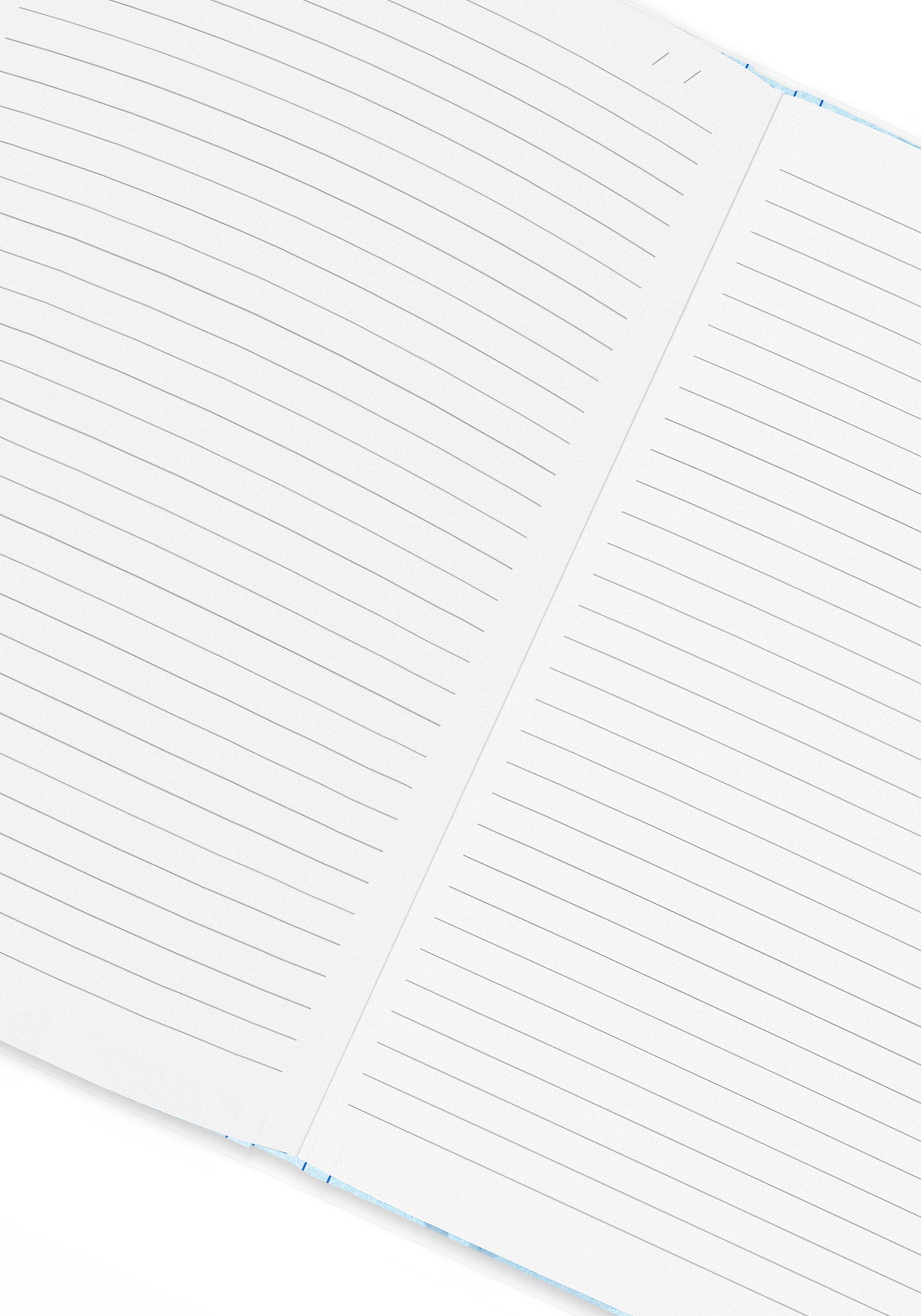 מחברת שורות | ALPINE FROST Caran d'Ache