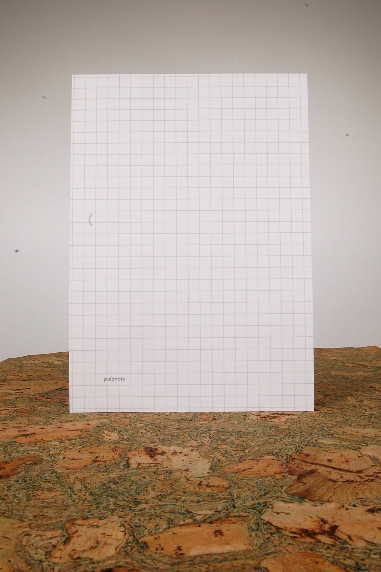 בלוק כתיבה תליש בגודל A4 | PULP NOTE