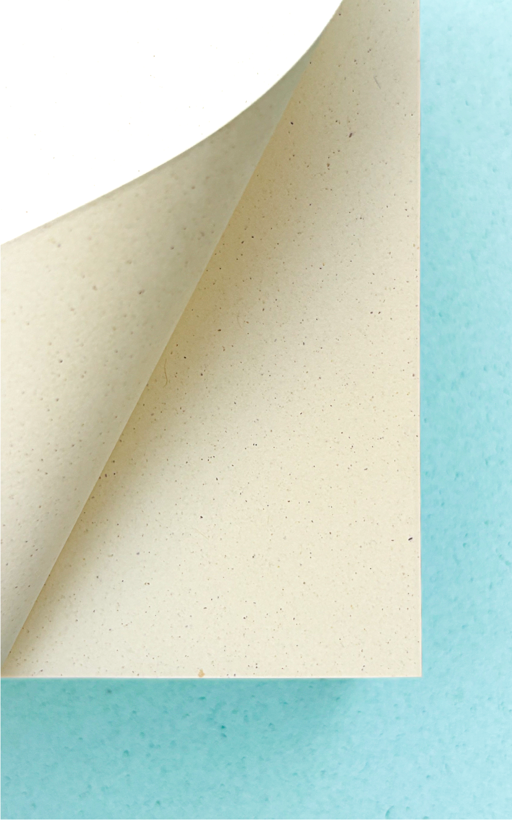 השראה אורגנית I בלוק ממו מנייר אורגני I משאריות תפוזים