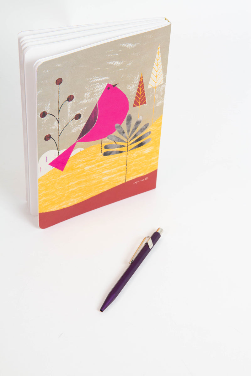 קיט לאנשים צבעוניים | עט ממוחזר של נספרסו + מחברת אמן מאוירת