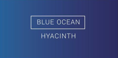 בקבוק דיו לעט נובע עם ניחוח | BLUE OCEAN | OTTO HUTT