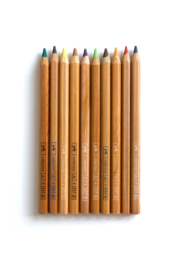 עפרונות צבעוניים עבים - מארז של שניים עשר