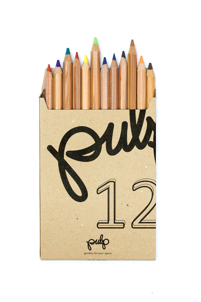 עפרונות צבעוניים עבים - מארז של שניים עשר
